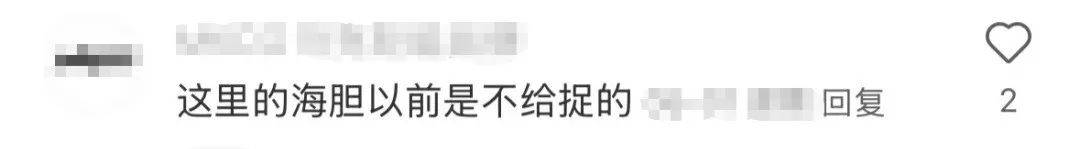 深圳一海滩惊现大量海鲜!有网友称怒捡一百多斤…… 深圳一海滩惊现大量海鲜!有网友称怒捡一百多斤……