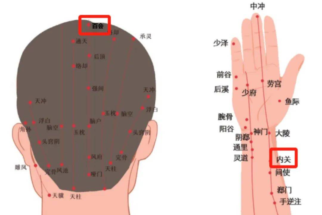 家有考生必看！穴位按摩提神指南，让复习状态拉满
