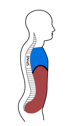 可能是"呼吸模式"出了问题