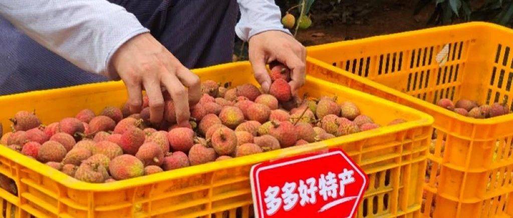 拼多多最新财报：利润下跌近4成，“千亿扶持”惠商投入远超市场预期