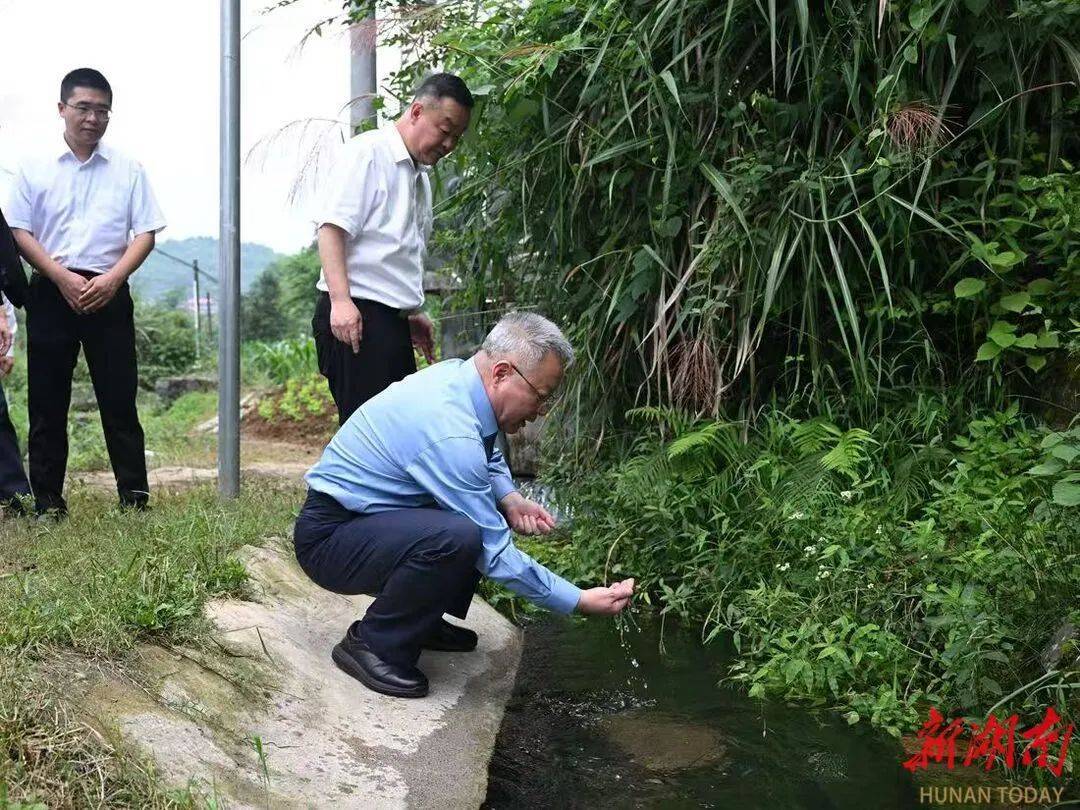 中央巡视组交办问题，省委书记赴现场督导整改