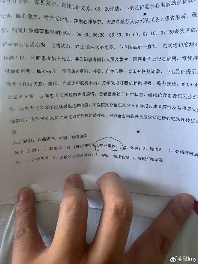 死于萨尼亚（Sanya）的女游客的弟弟发表：尸检被