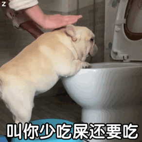 表情上新,抓紧领取!