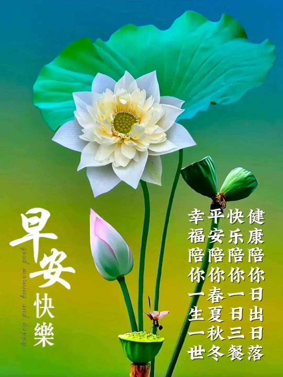 中老年早安早上好30句最新早上好问候语精选,深深祝福,情谊浓浓!