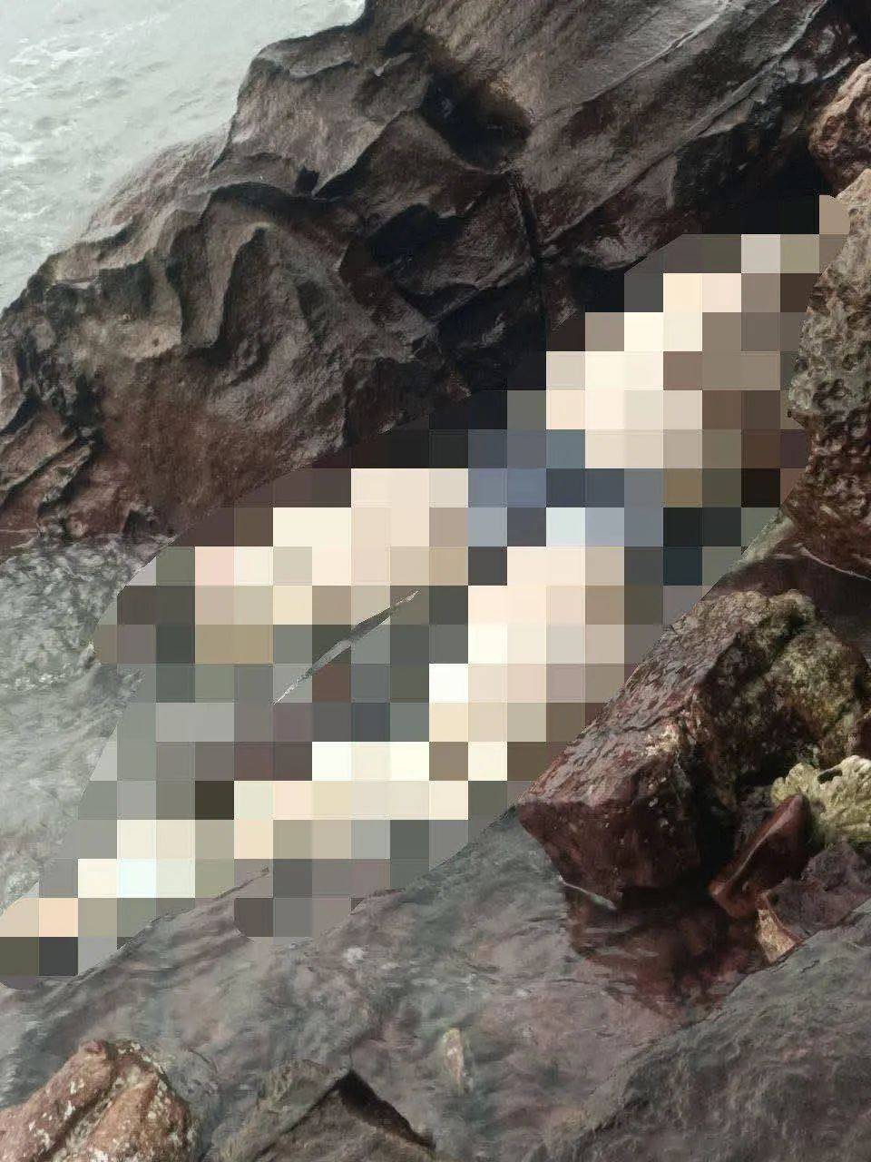 西港海边惊现无名男尸,遗体疑遭鱼类啃食
