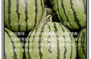 华为Pura 80系列发布：全能AI旅游搭子来了！小艺能说会看陪你一起看世界