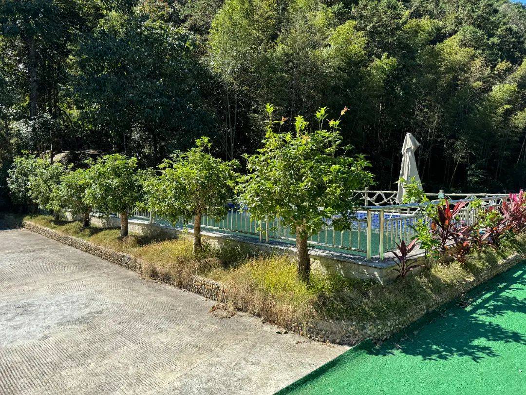 南昆山生态旅游区下坪社区:激活生态密码,打造