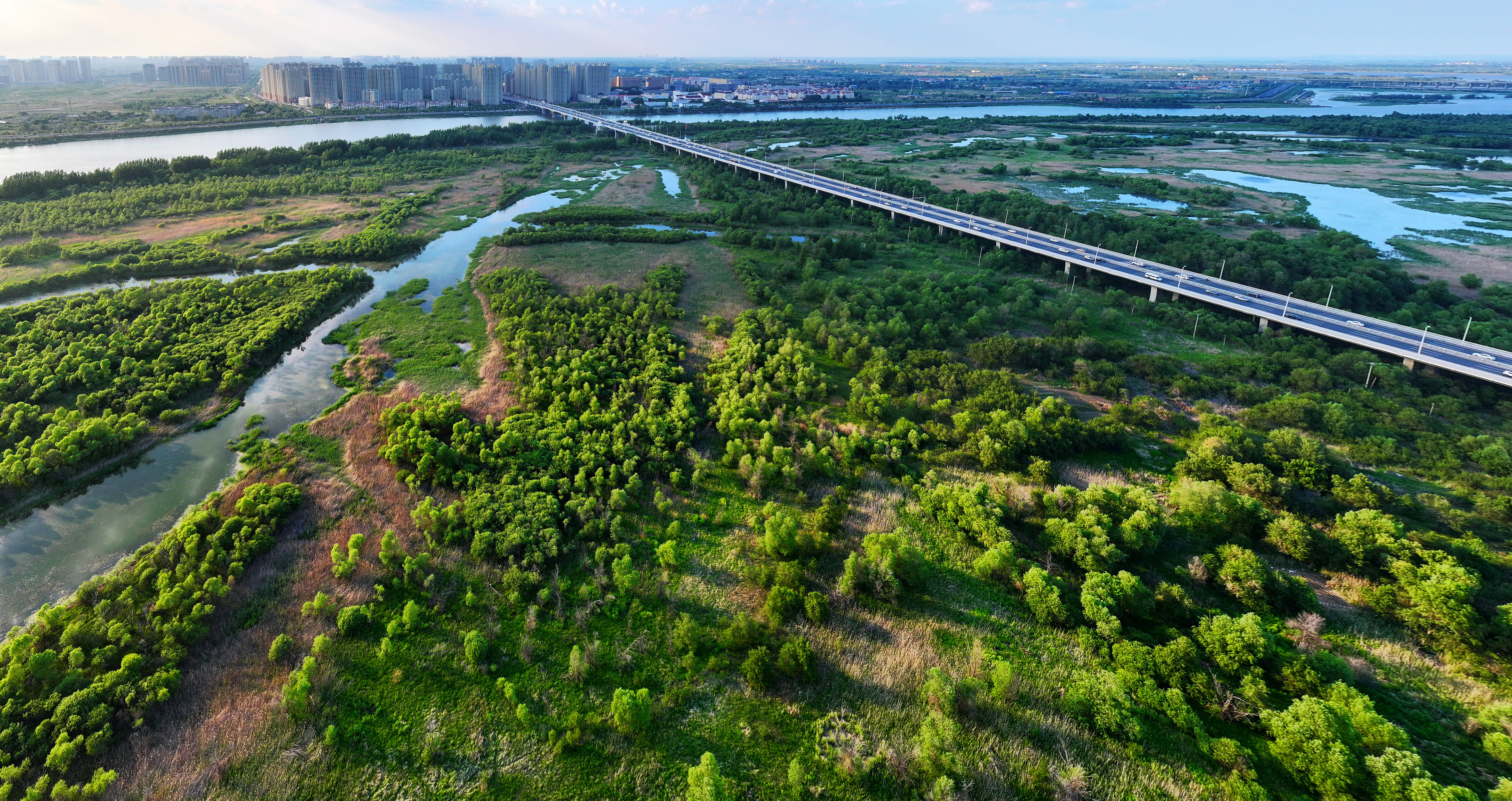 万顷松江湿地 百里生态长廊