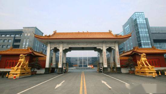 口子窑2024年利润略降 董事长徐进薪酬却降百万 但仍高达264.4万