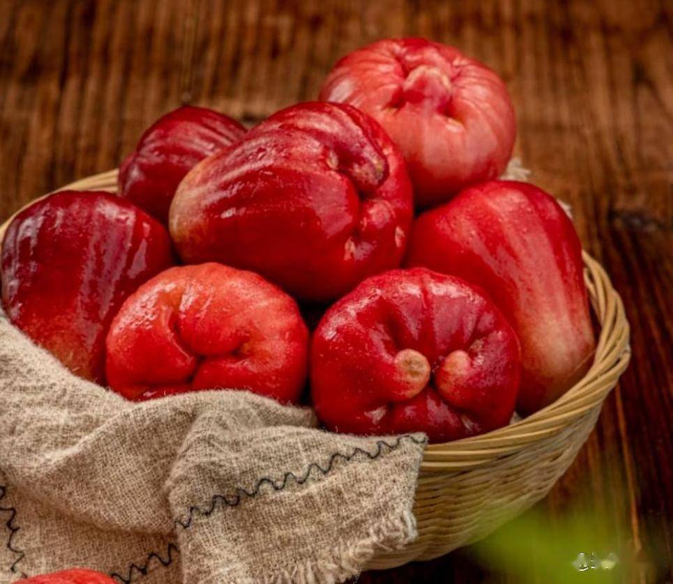 莲雾:这果子模样怪,清甜多汁润肺又防晒,现在吃正当时