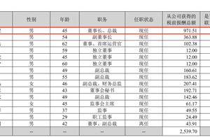 神州泰岳80后董事长冒大卫去年领薪971万元，曾任北大财务部部长