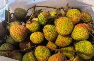 荔枝立大功？医生发现：常吃荔枝的人，不出半年，或有这5大变化_身体_水果_功能