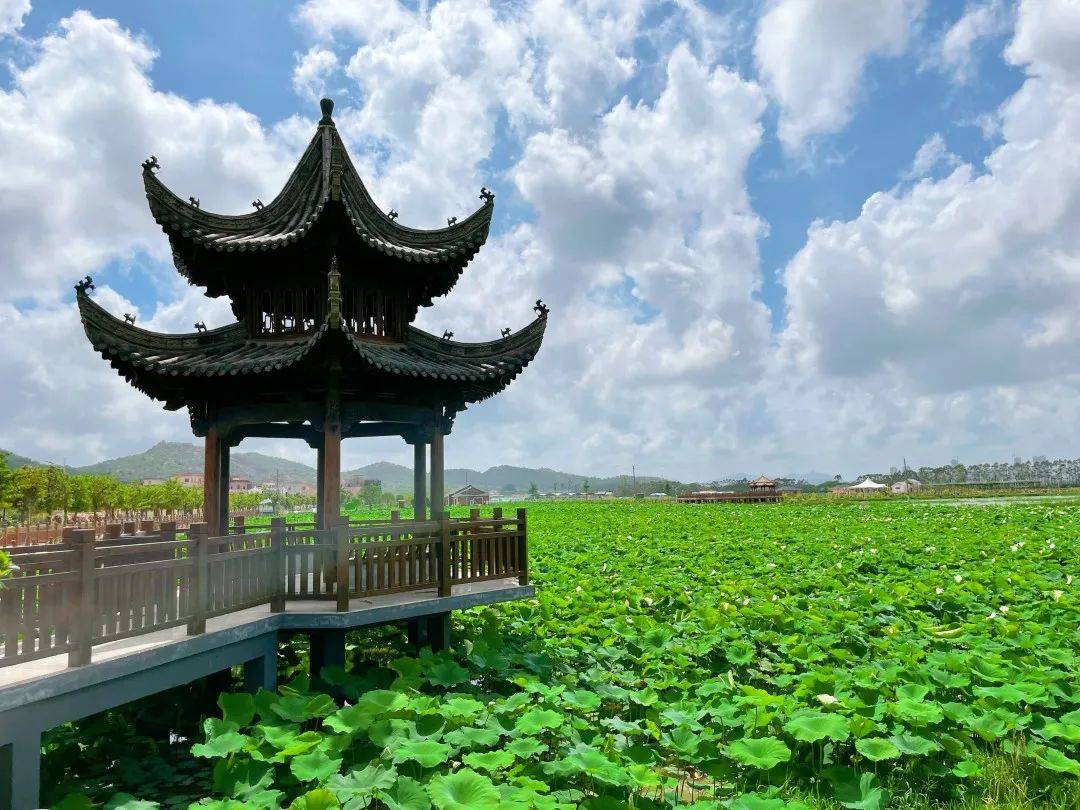 汕尾哪里有草莓采摘_汕尾采摘园_