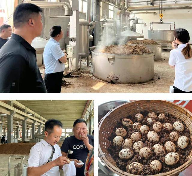大黄河美酒以沉浸式体验搭建与客户沟通的桥梁__大黄河美酒以沉浸式体验搭建与客户沟通的桥梁