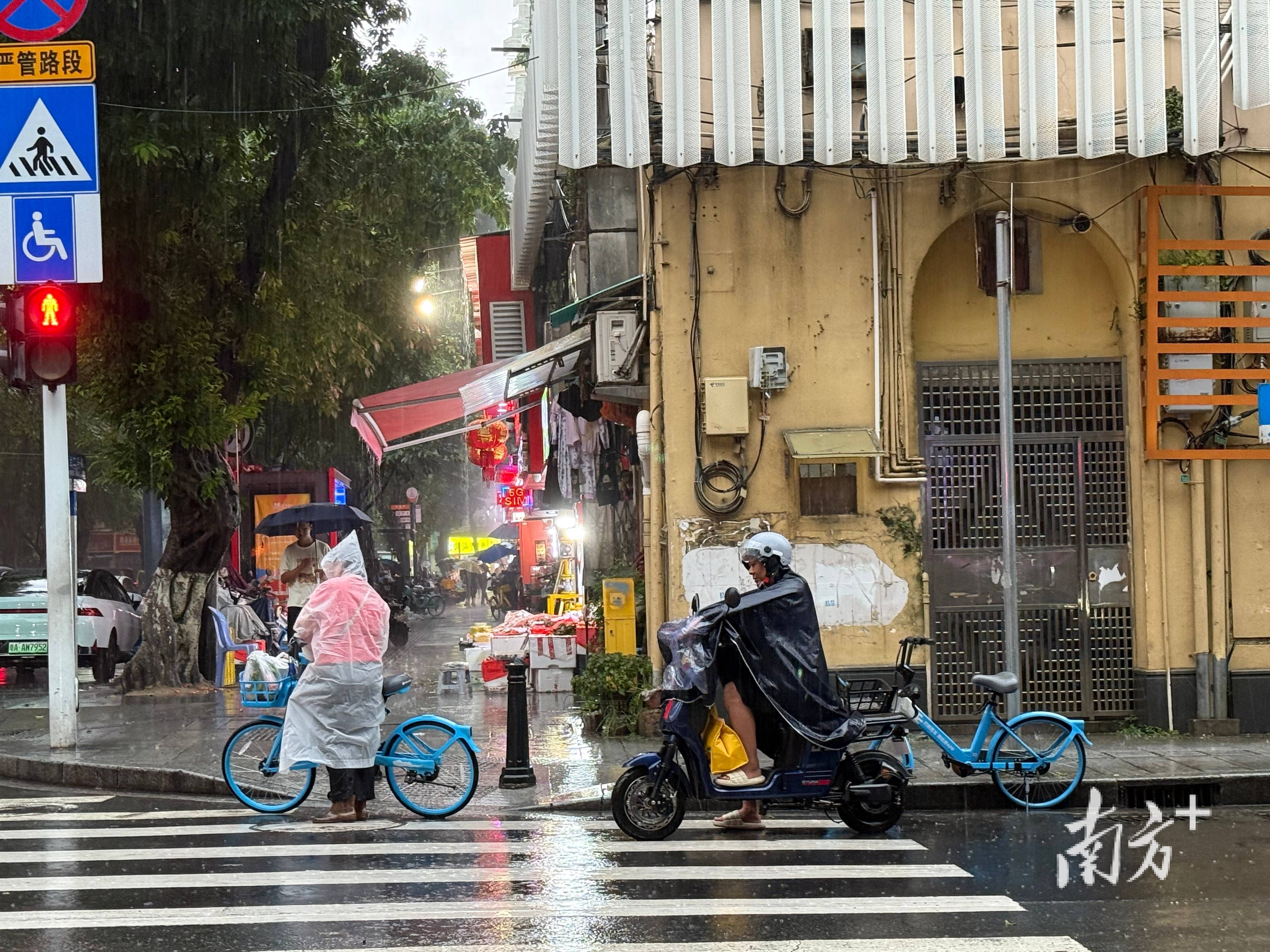 广东省湛江市雷州市天气