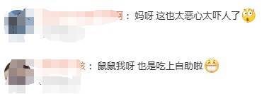老鼠上桌吃自助？北京一火锅店上演惊人一幕