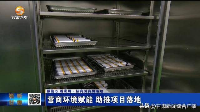 甘肃：营商环境赋能 助推项目落地