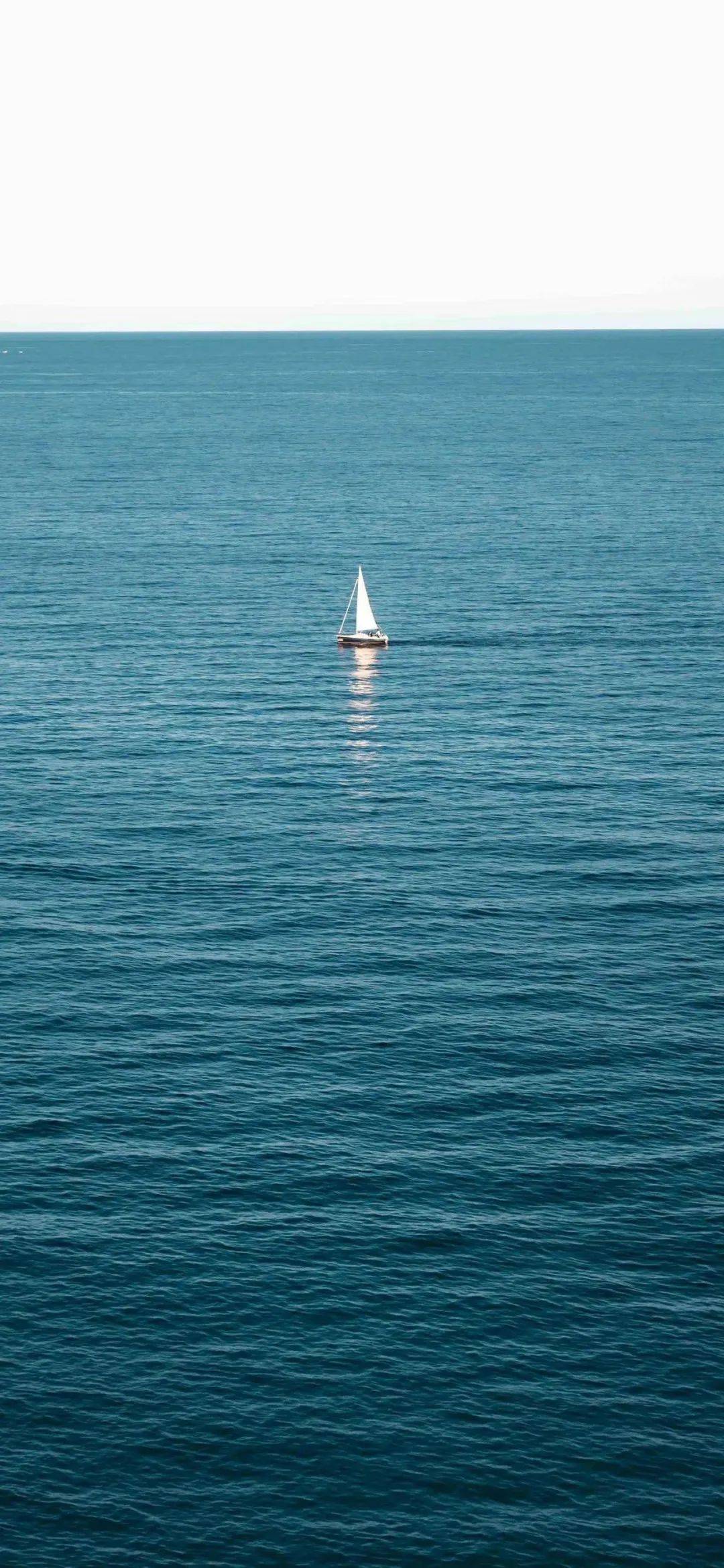 壁纸|全面屏手机壁纸