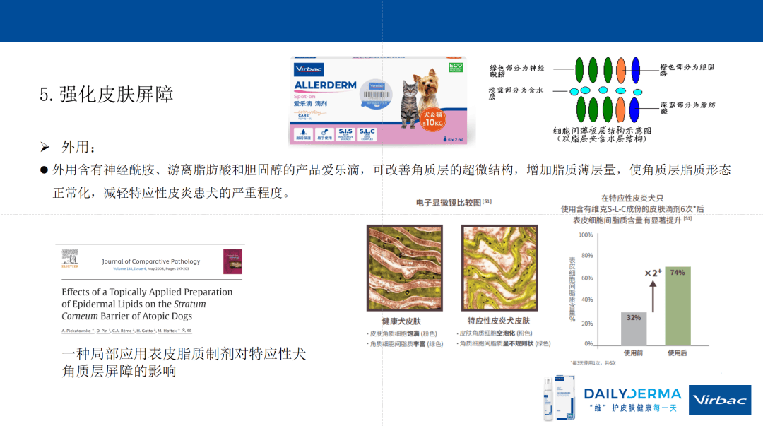 【听课笔记】犬特应性皮炎 | 国际前沿进展与精准管理策略