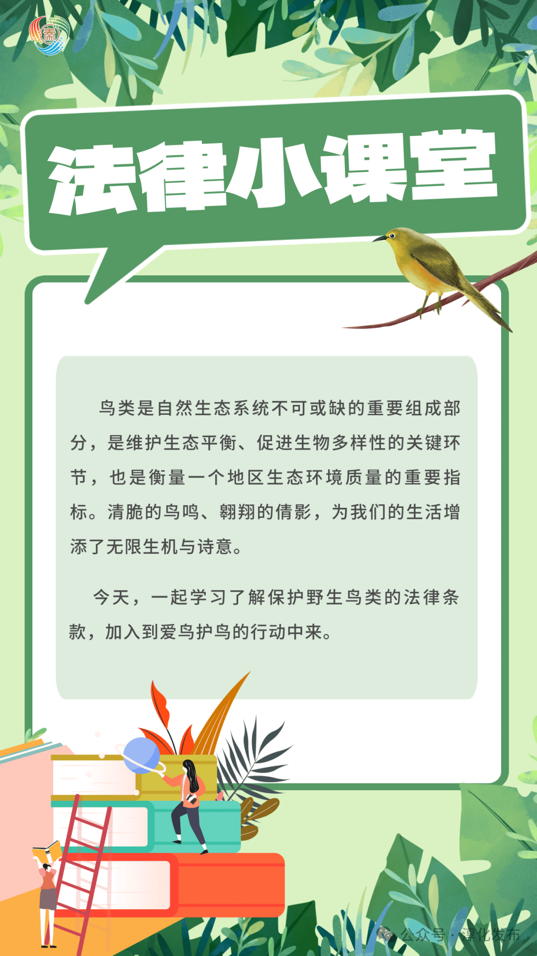 为什么不能捉鸟