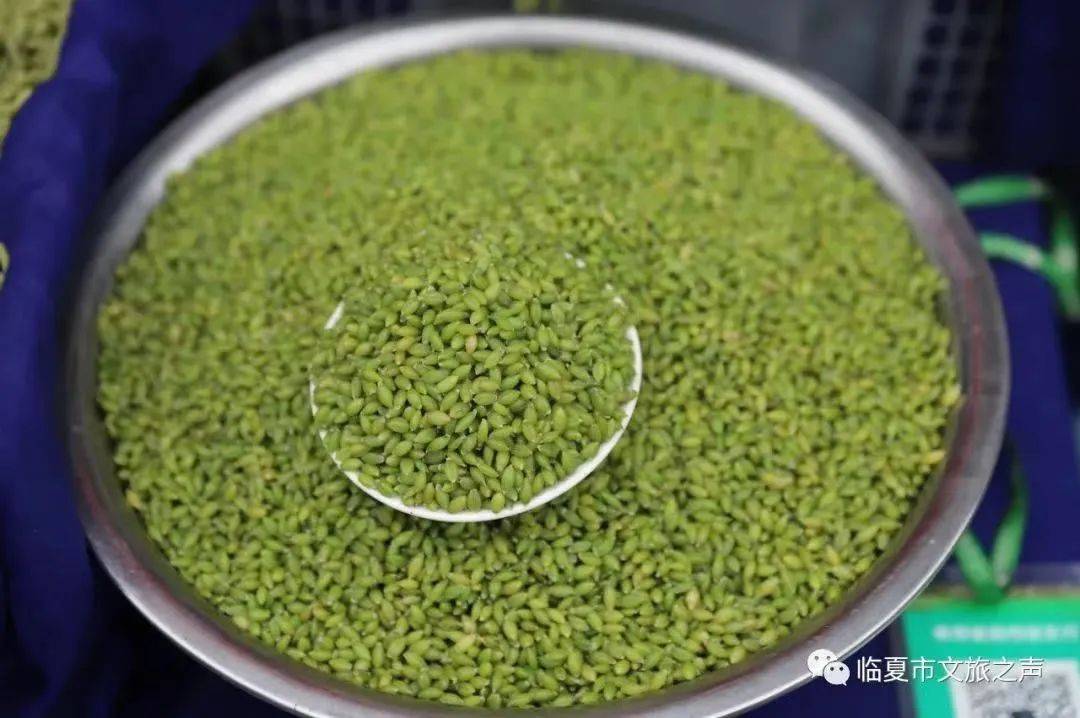 麦梢黄，拧坠香，临夏独有的时令之味__麦梢黄，拧坠香，临夏独有的时令之味