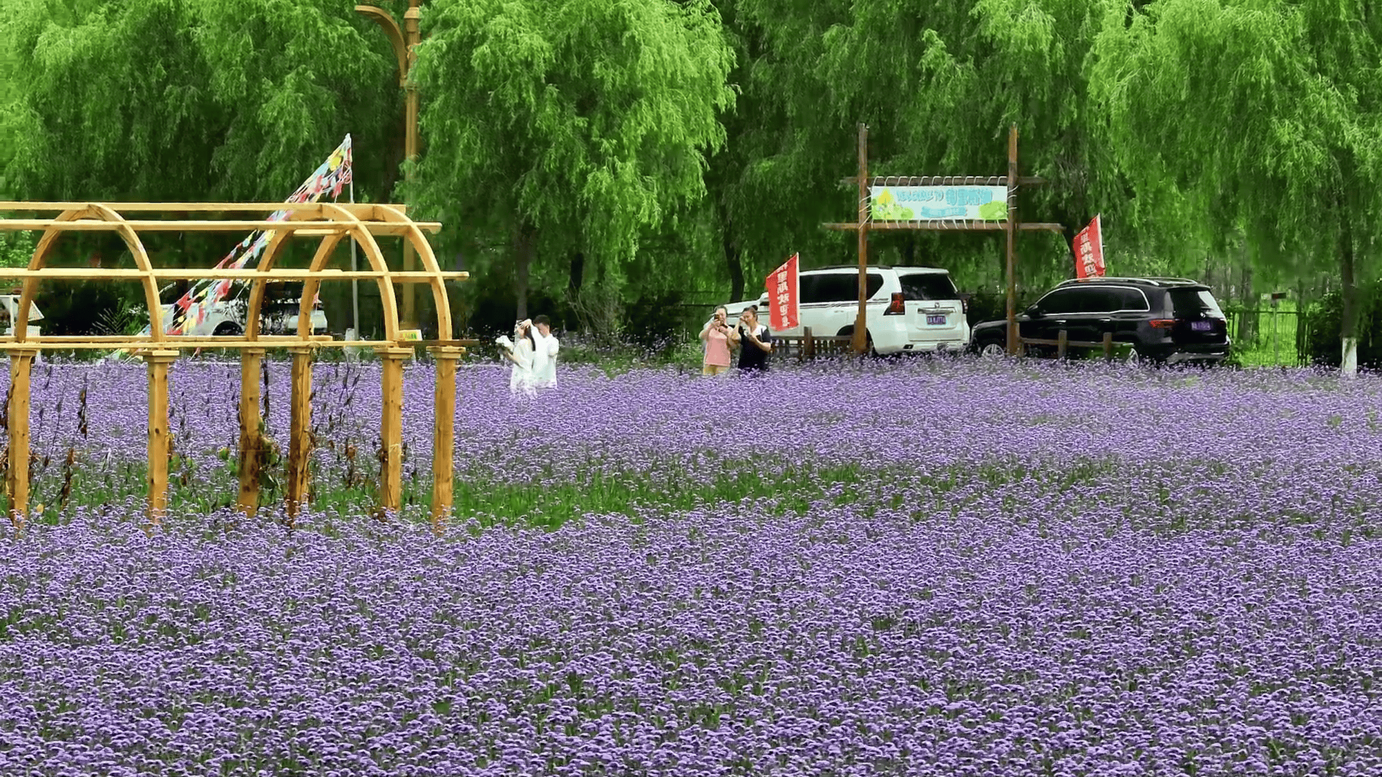 一“齐”游夏 | 梅里斯湖风景区：在湖光树荫下遇见清凉与浪漫_一“齐”游夏 | 梅里斯湖风景区：在湖光树荫下遇见清凉与浪漫_