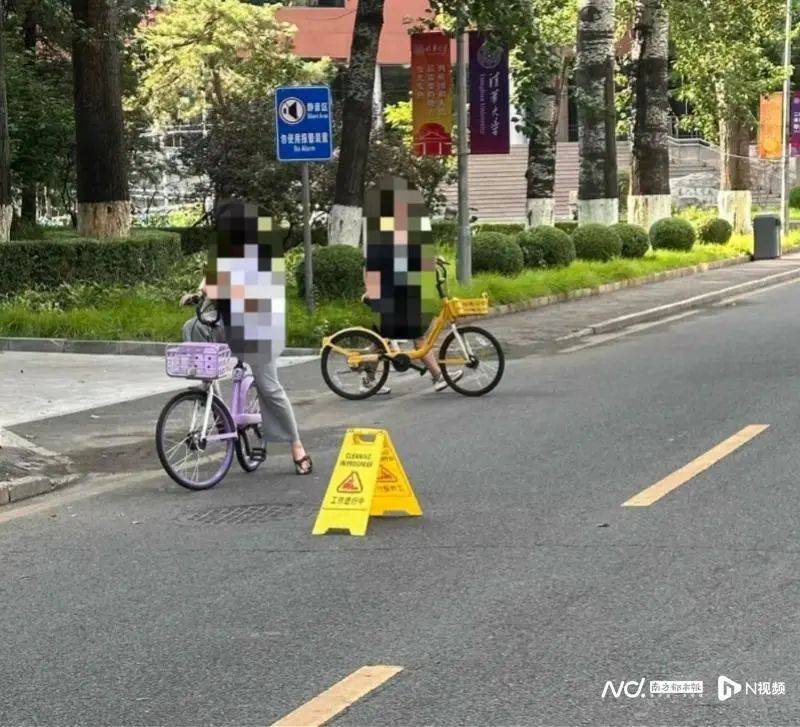 女教授在清华被树砸倒身亡，目击者：她当时正在骑车，其女儿也在现场，涉事绿化公司回应