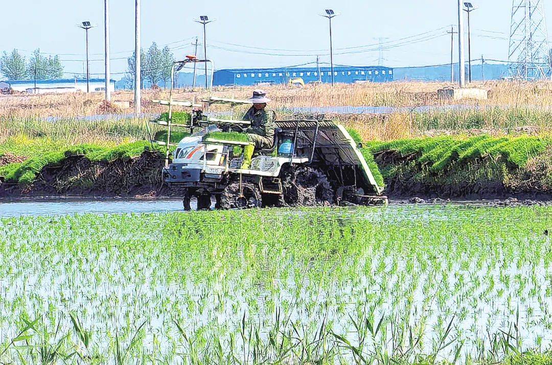 智耕沃野绘“丰”景——前郭县2025年春耕工作回眸