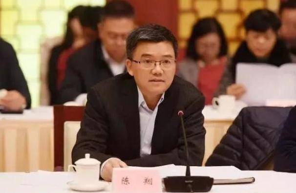 中央检查后，调查了校长校长陈Xiang。