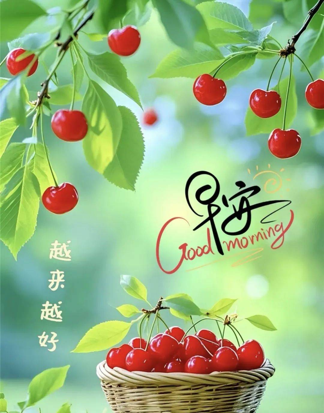 128张早安早上好唯美图片晨光吉祥新的一天随遇随喜随安