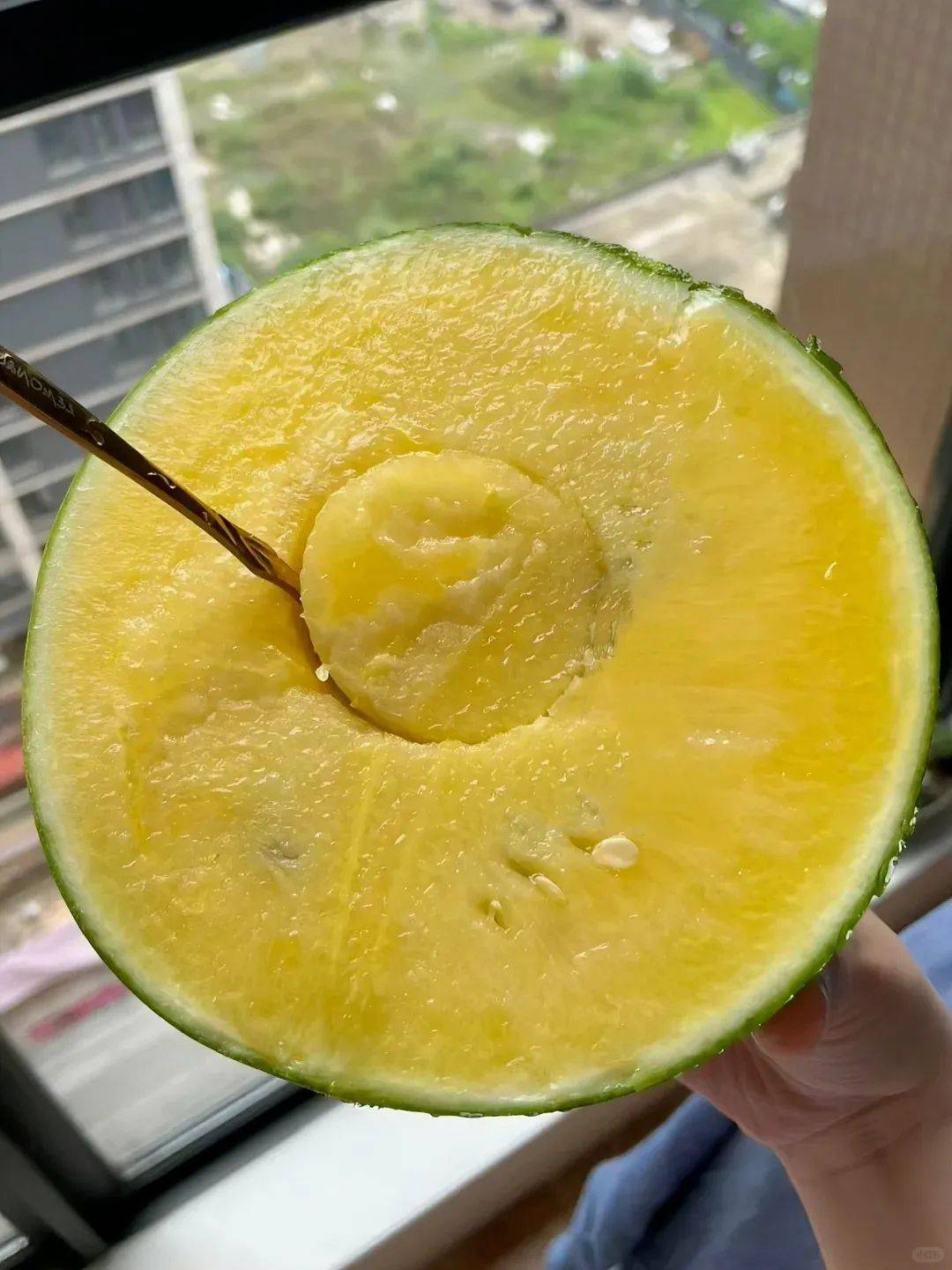 吃瓜群众速速来围观!