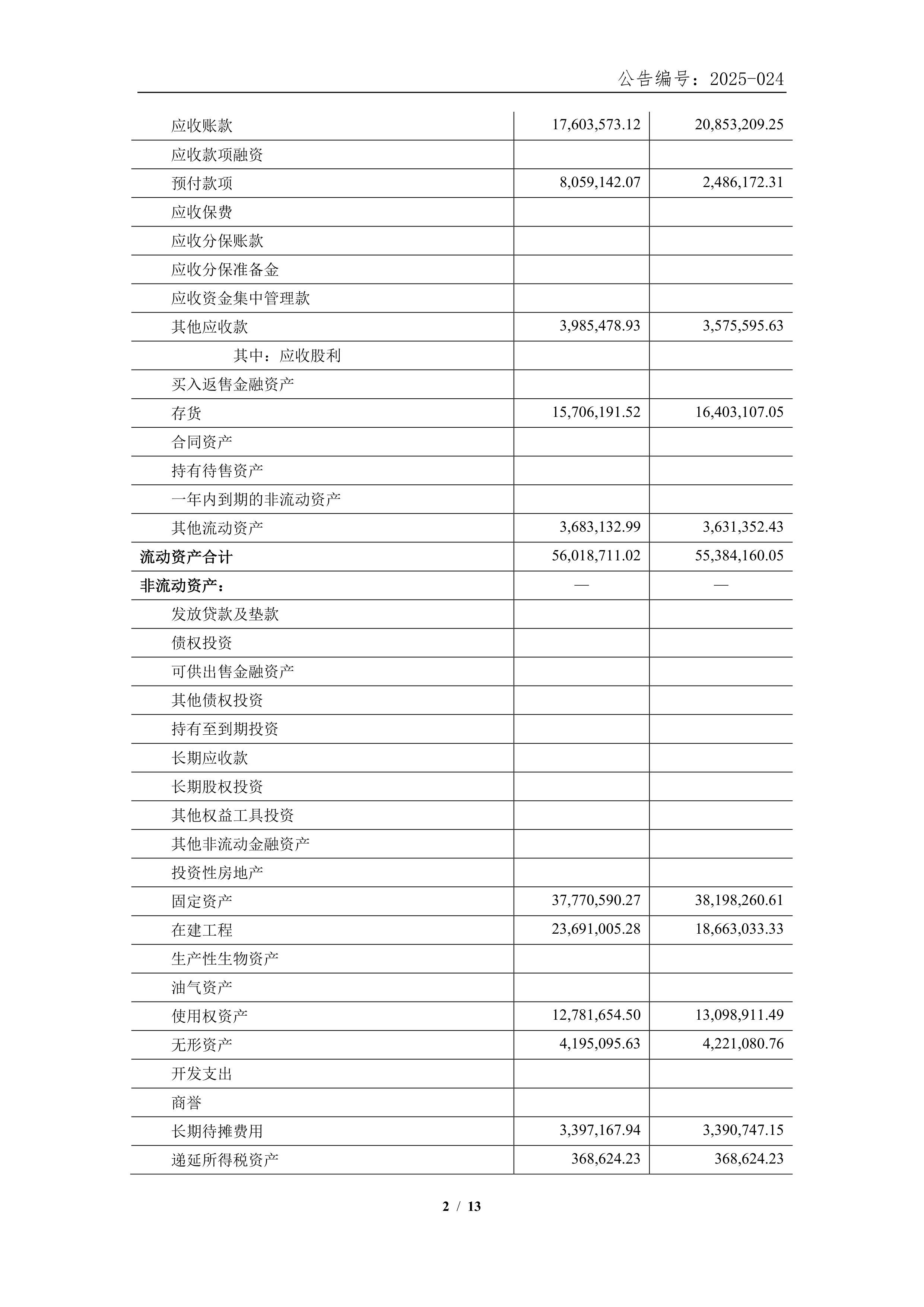 深沪京-公告-雅琪生物-2025年一季度财务报表