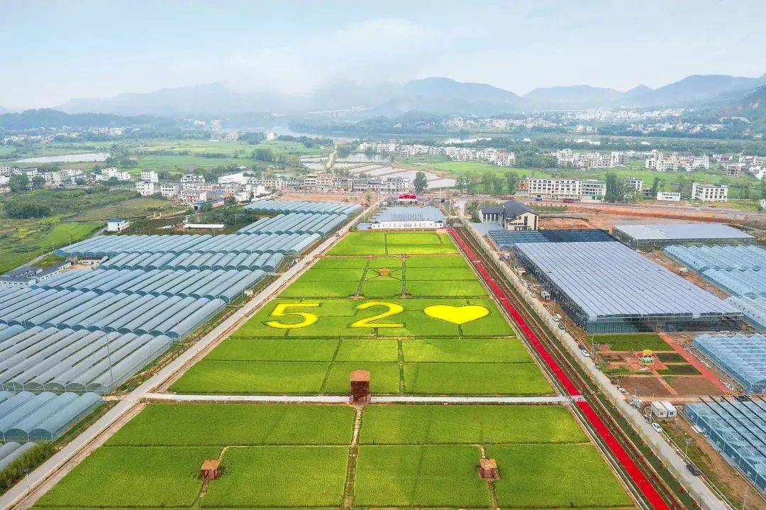 赣州生态 修复 乡村振兴相关图片4