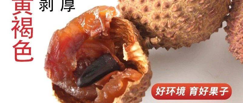 科普| 荔枝干的功效,这样吃补血不上火!_气血_果干_糖尿病人