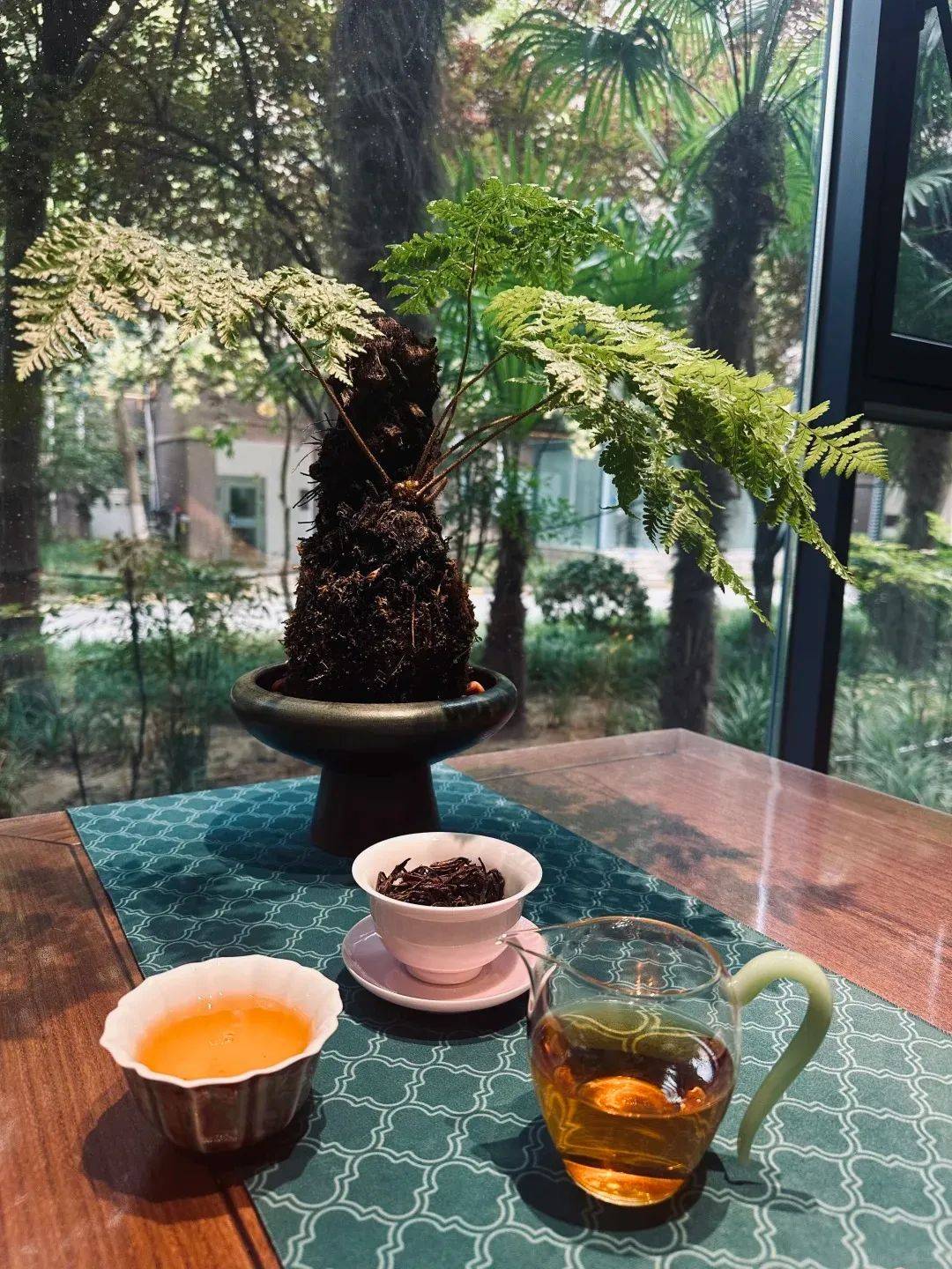 存下来假装在喝茶的专用照片