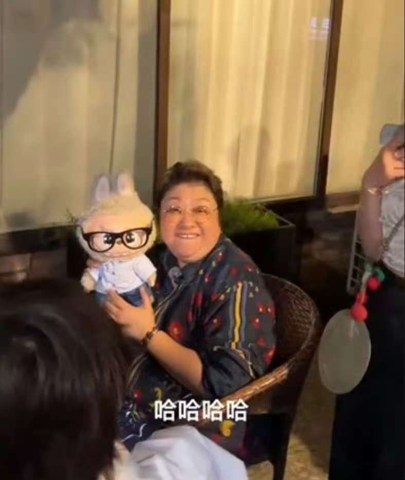 你好毒红九:韩红撞脸Labubu玩偶，本人认证：这太像了！