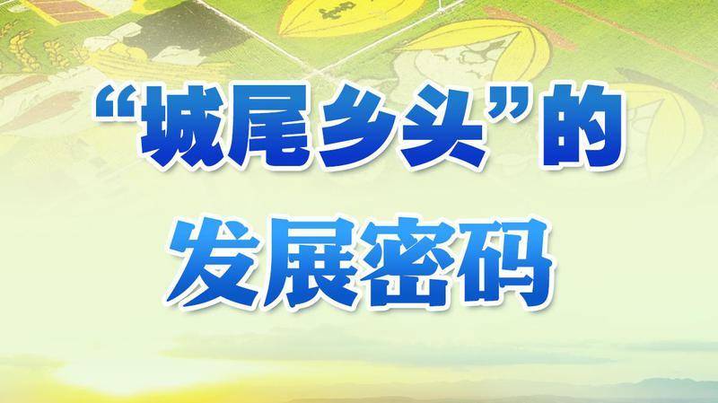 阳台毛毛:习近平总书记关切事丨“城尾乡头”的发展密码
