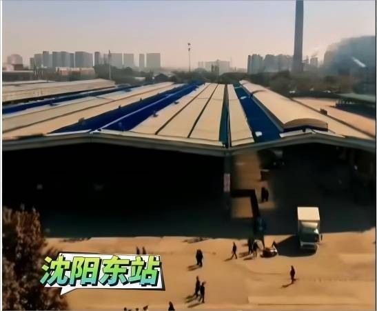 《以法之名》热播！取景地在辽宁！来看，有你熟悉的地方不？