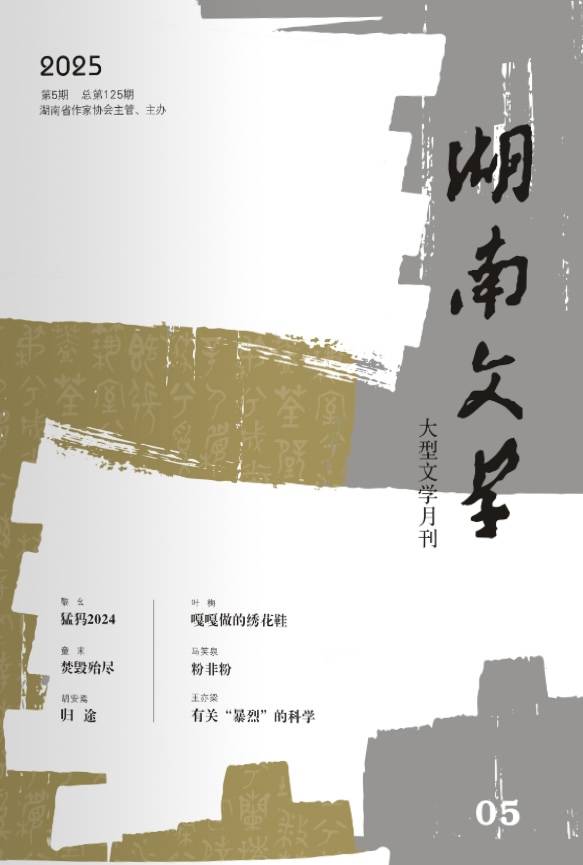 胡安焉短篇小说《归途》:归途路茫茫_列车_城市_生活