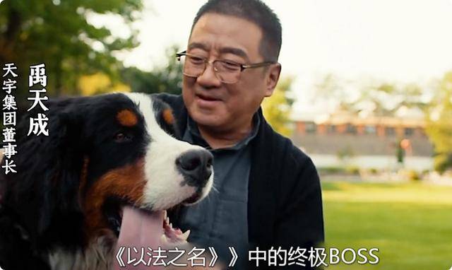 一人毁了整部剧！《以法之名》的最大败笔，就是这4位“戏混子”