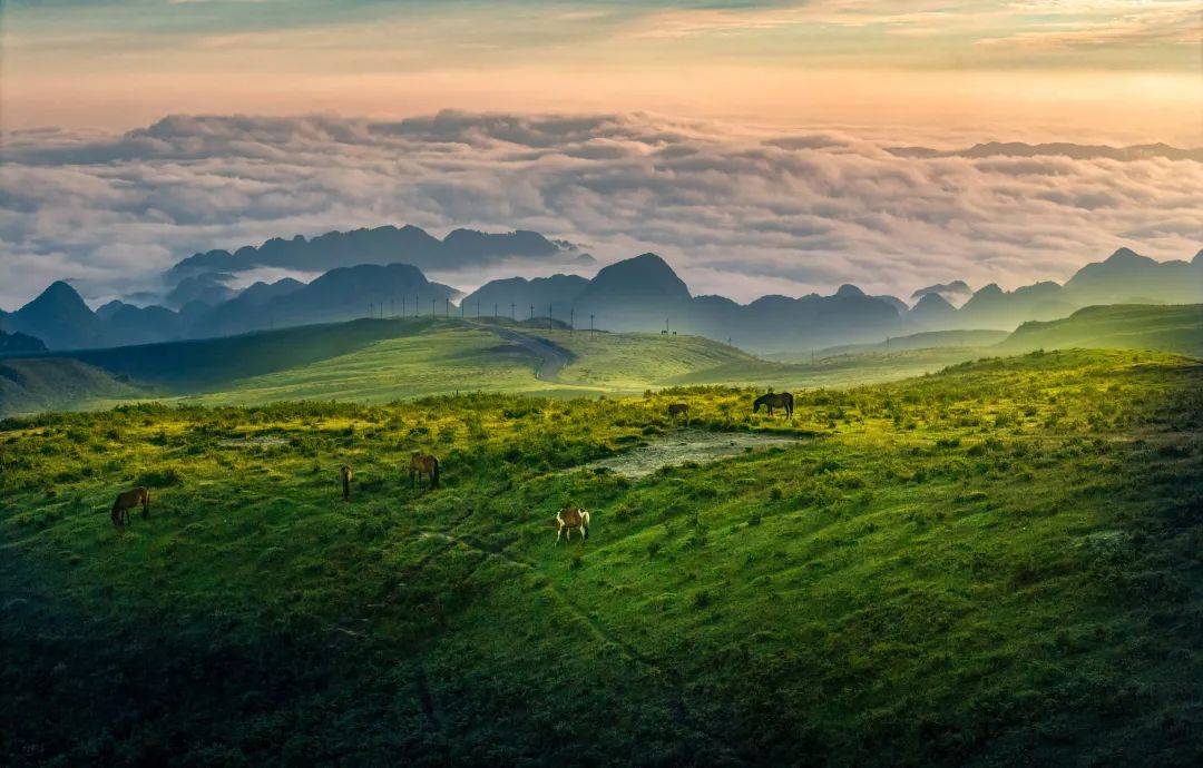 阿西里西大草原:日出云海美如画 清凉避暑正当时