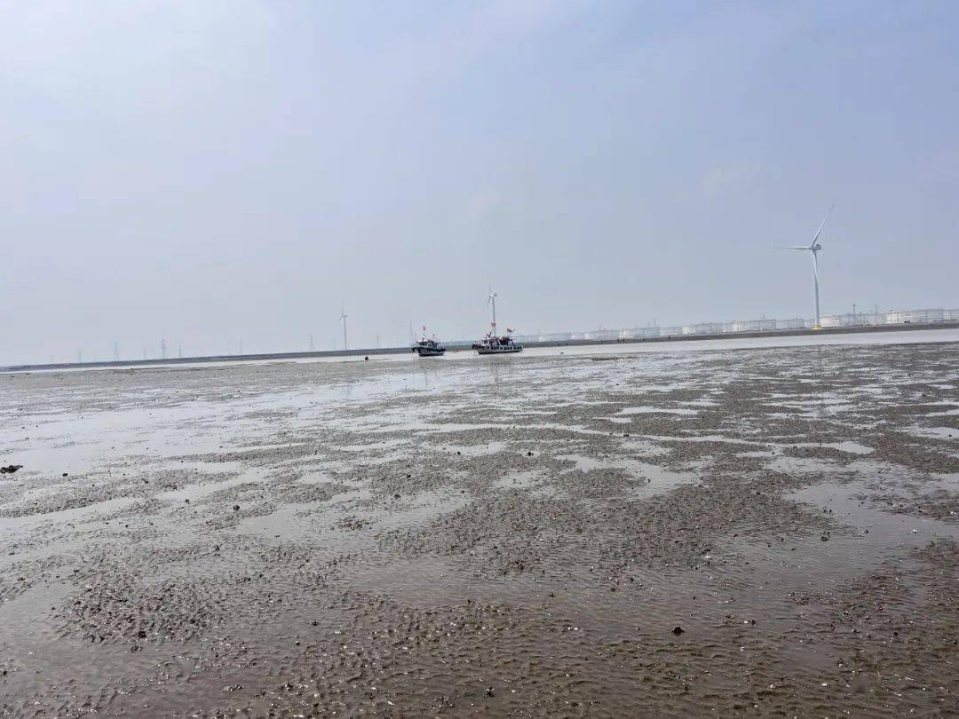 7.13 在大港港口沙滩上一起挖呀挖