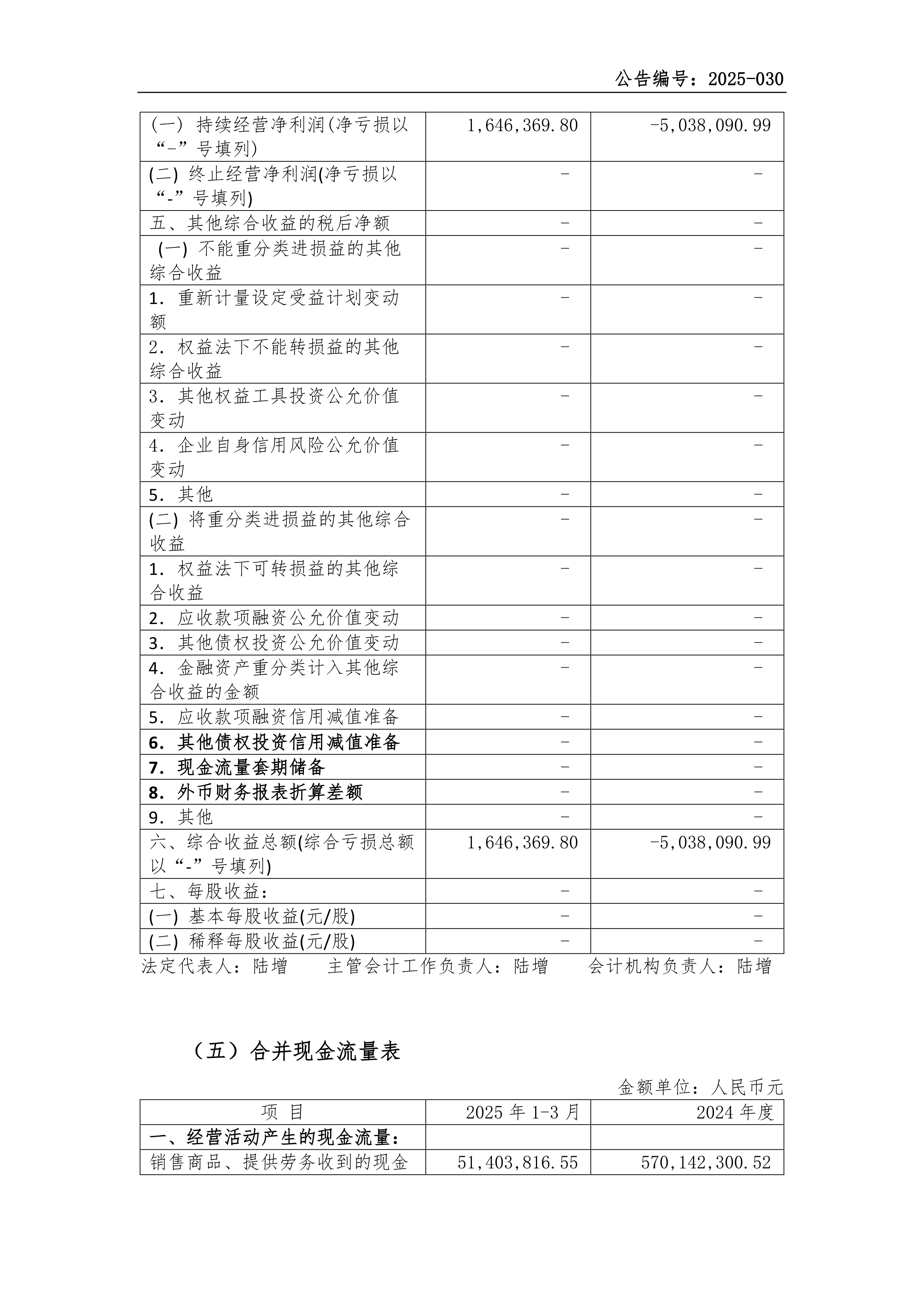 港股-新之科技-2025年第一季度财务报表