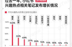 小红书，当代年轻人的线上兴趣班