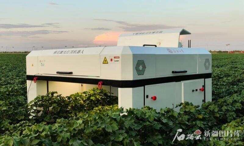 新疆制造！全球首款棉花激光打顶机器人亮相