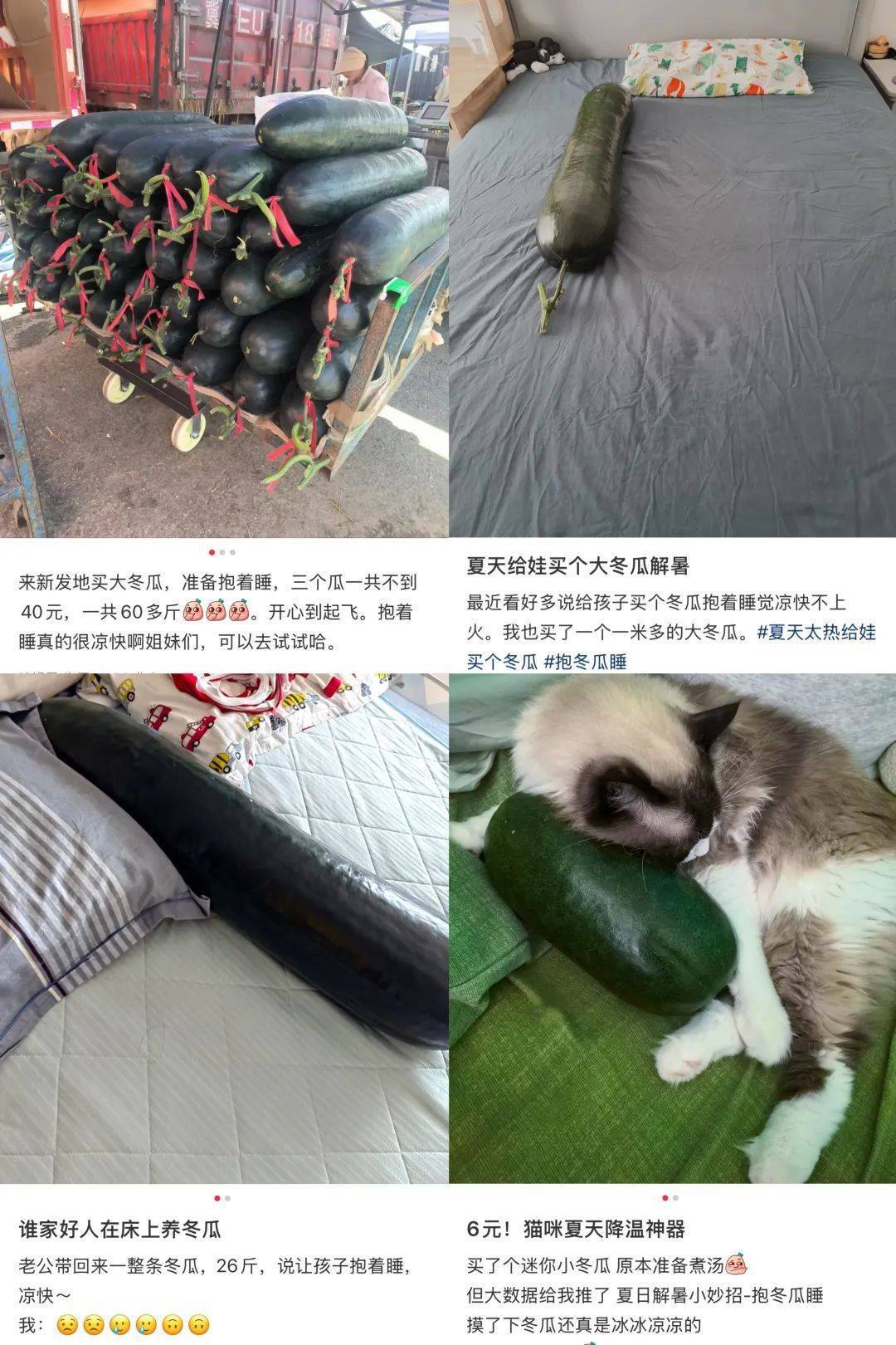 “抱冬瓜睡觉”突然走红，医生紧急提醒