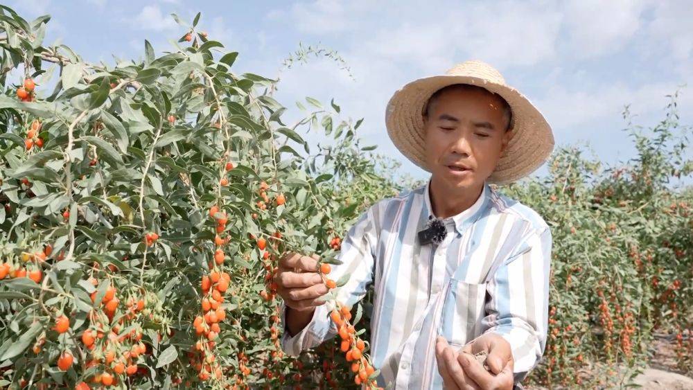 新华视点｜消费热潮奔涌 创新动能澎湃——夏日经济新观察