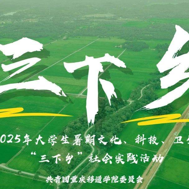 镜头里的“三下乡”㊲|青春力量赴乡约，多元赋能谱交响_实践_移通_文化