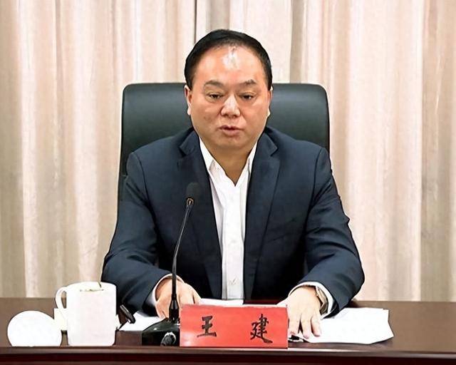 66岁王建退休5年后落马