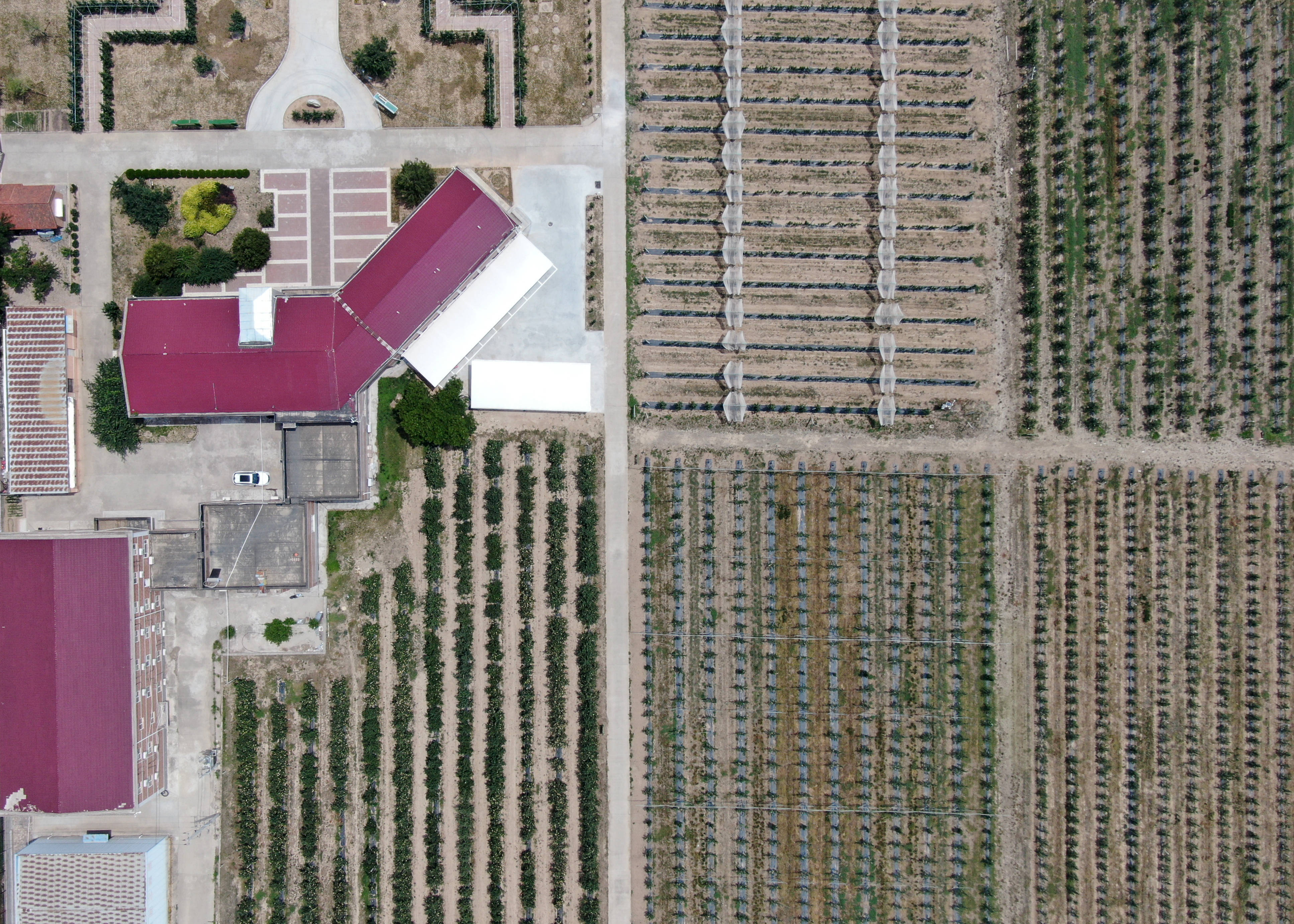 中国经济样本观察·县域样本篇丨民营经济何以成为这座山东小城“最亮名片”？